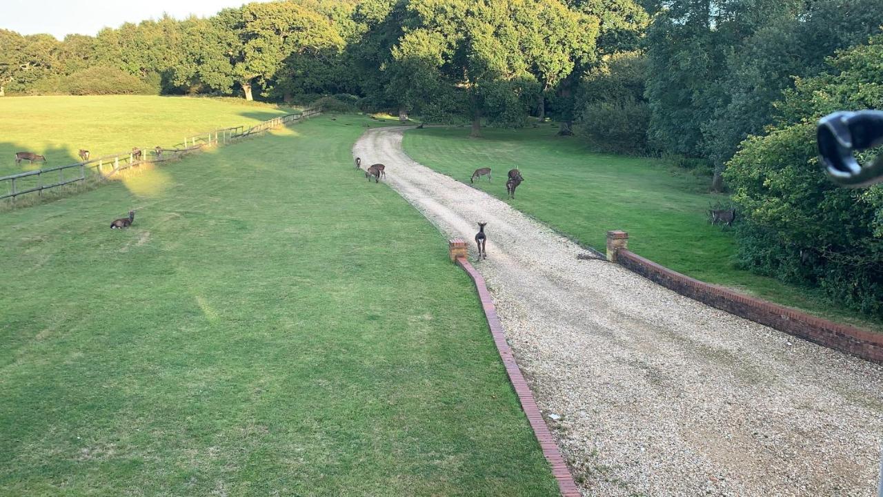 Yards Brake On 40 Acres Of Private Land Villa Langton Matravers Luaran gambar
