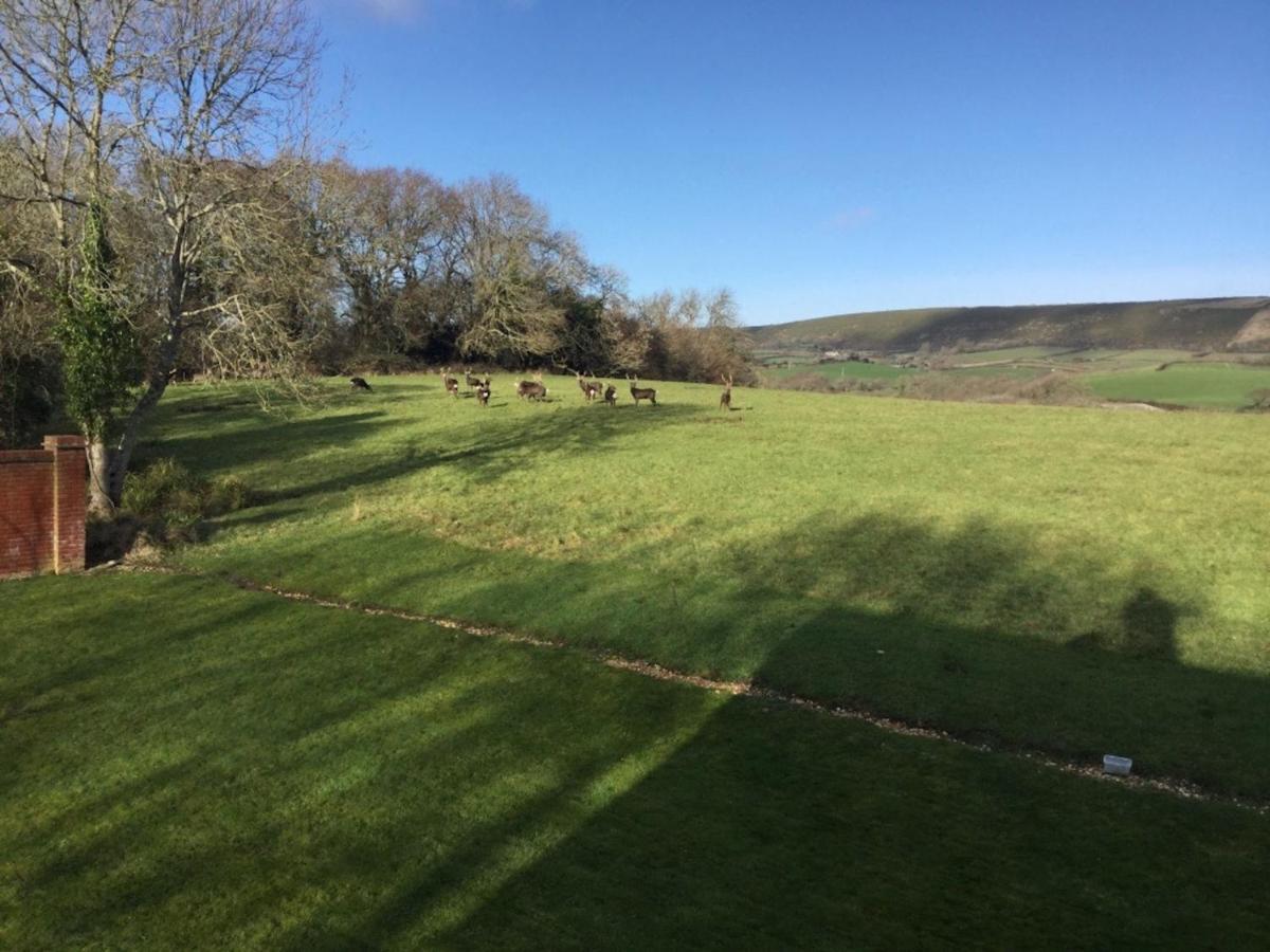 Yards Brake On 40 Acres Of Private Land Villa Langton Matravers Luaran gambar