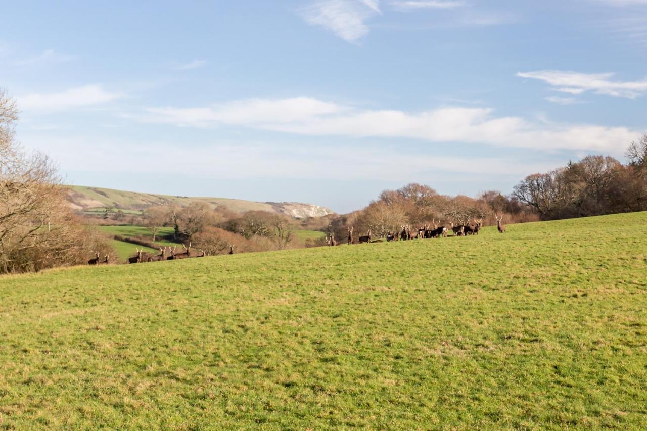 Yards Brake On 40 Acres Of Private Land Villa Langton Matravers Luaran gambar